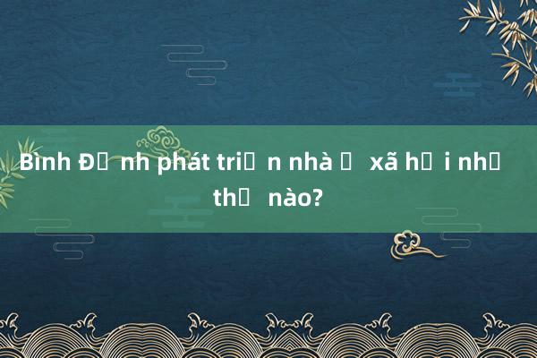 Bình Định phát triển nhà ở xã hội như thế nào?