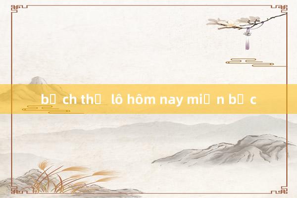 bạch thủ lô hôm nay miền bắc