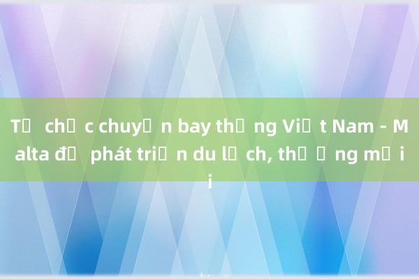 Tổ chức chuyến bay thẳng Việt Nam - Malta để phát triển du lịch， thương mại