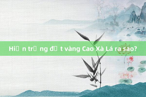 Hiện trạng đất vàng Cao Xà Lá ra sao?