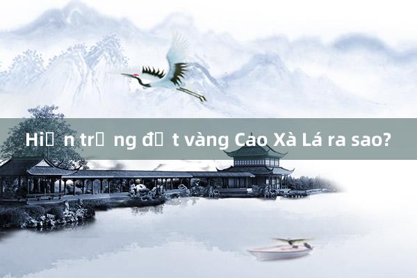 Hiện trạng đất vàng Cao Xà Lá ra sao?