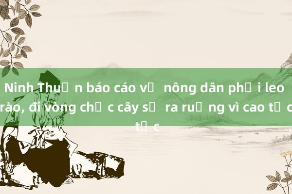 Ninh Thuận báo cáo vụ nông dân phải leo rào, đi vòng chục cây số ra ruộng vì cao tốc