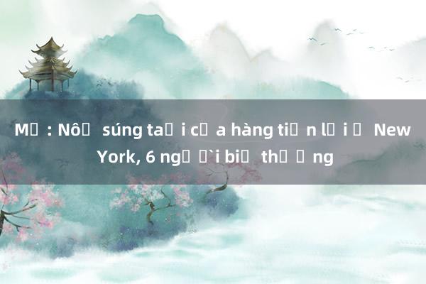 Mỹ: Nổ súng tại cửa hàng tiện lợi ở New York， 6 người bị thương